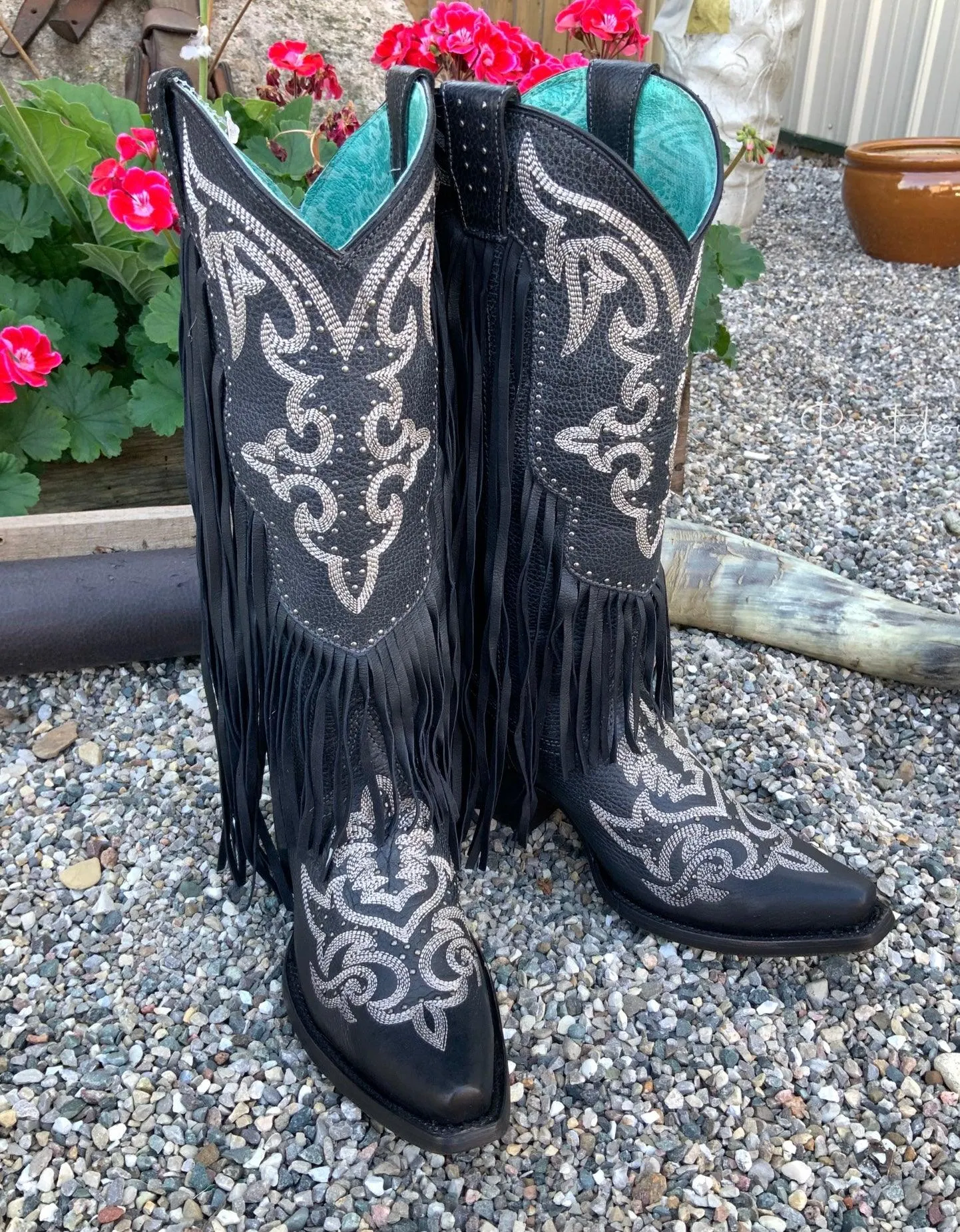 Corral Women's Black Fringe Lamb Tall Snip Toe Cowgirl Boots C3706