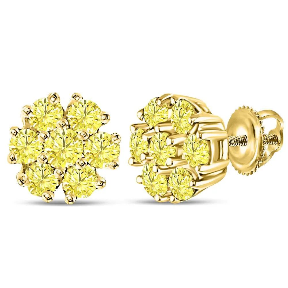 Keene Jewelers 10kt Yellow Gold Womens Round Color Enhanced Diamond Flower Cluster Earrings 1/2 Cttw