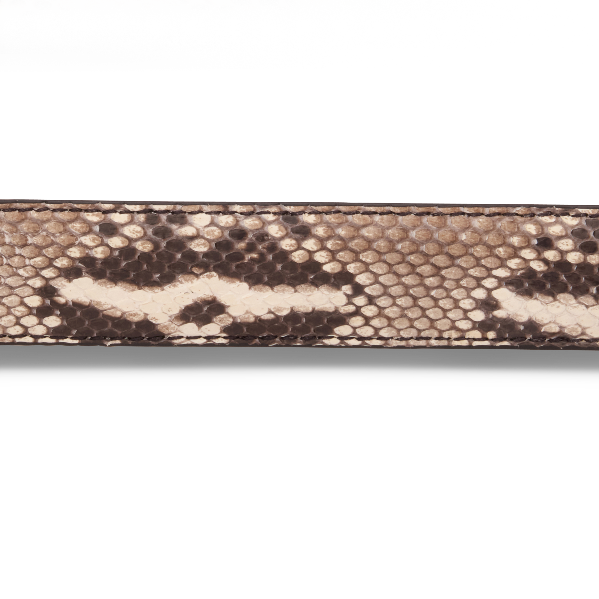 Python Belt :: Black